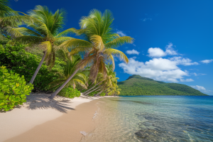 Guadeloupe Météo Juin : Guide Voyage Complet