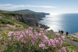 Sardaigne en Mai : Météo et Guide Voyage Complet